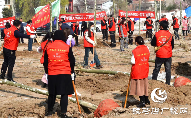 西平縣柏城街道開展義務植樹造綠活動