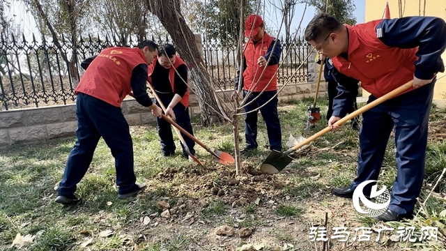  攜手植綠護綠 共建美好家園