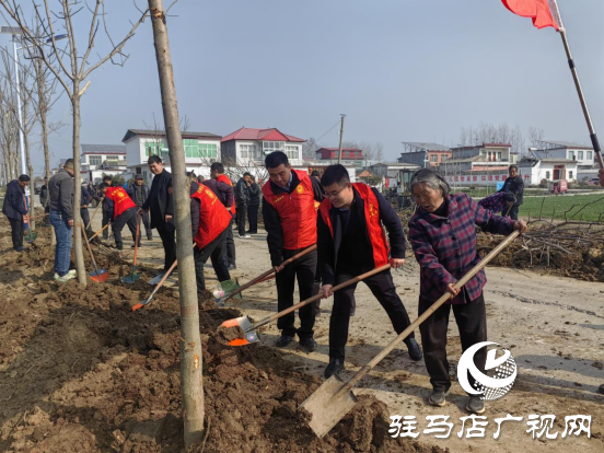 平輿縣李屯鎮(zhèn)組織開展2024年全民義務植樹志愿服務活動