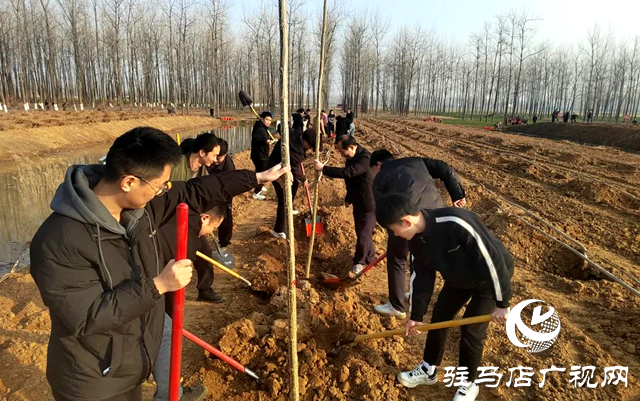 汝南縣人民檢察院開(kāi)展義務(wù)植樹(shù)活動(dòng)