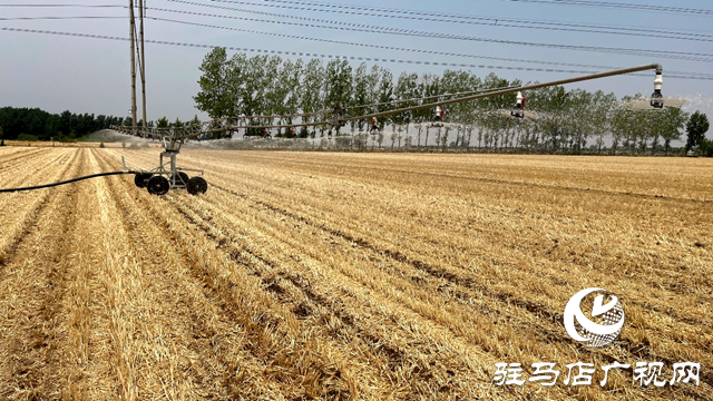 遂平縣和興鎮(zhèn)：人工智能進田地 抗旱用上高科技