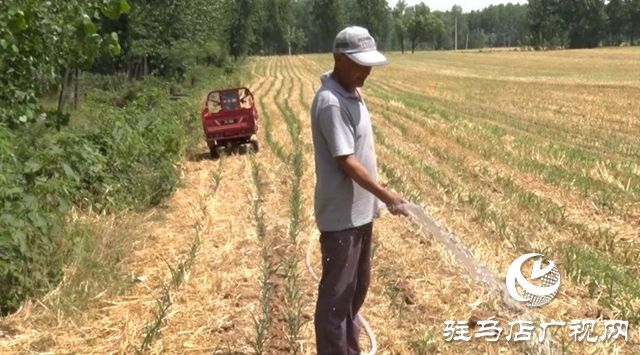 遂平縣：中小型水庫(kù)及時(shí)開閘放水保夏種