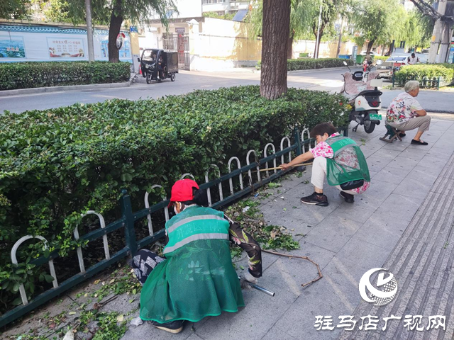 駐馬店經(jīng)濟開發(fā)區(qū)：精心呵護苗木 美化城市“綠帶”