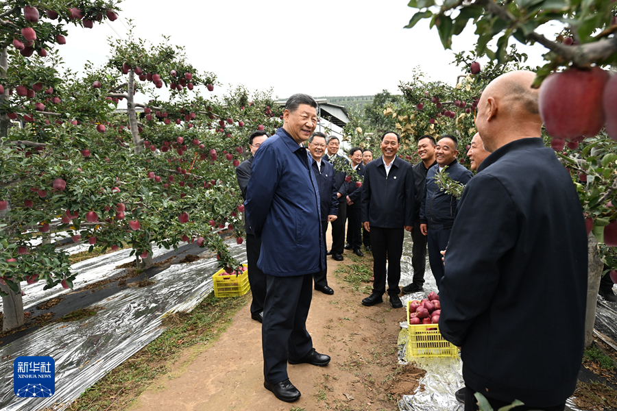 習近平在甘肅考察時強調(diào) 深化改革勇于創(chuàng)新苦干實干富民興隴 奮力譜寫中國式現(xiàn)代化甘肅篇章