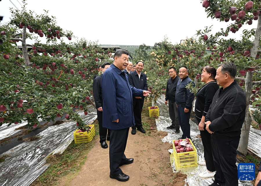 習近平在甘肅考察時強調(diào) 深化改革勇于創(chuàng)新苦干實干富民興隴 奮力譜寫中國式現(xiàn)代化甘肅篇章