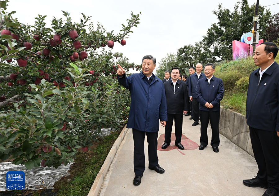 習近平在甘肅考察時強調(diào) 深化改革勇于創(chuàng)新苦干實干富民興隴 奮力譜寫中國式現(xiàn)代化甘肅篇章