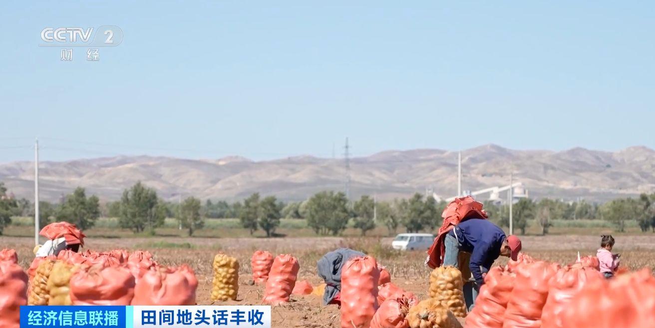 航空育種土豆即將收獲 探訪最新生長(zhǎng)情況→