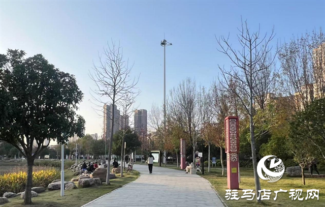 冬日暖陽下 市民共享公園生態(tài)之美