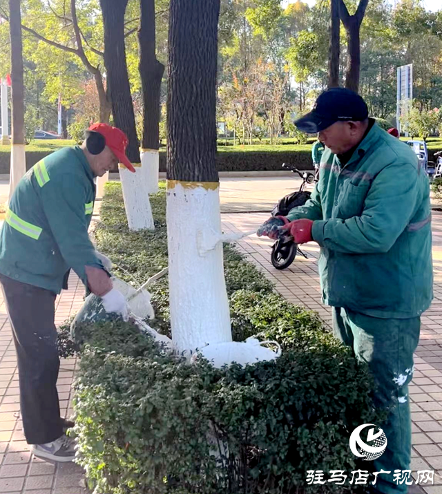 駐馬店：市區(qū)樹木刷白行動啟動 助力園林植物安然過冬