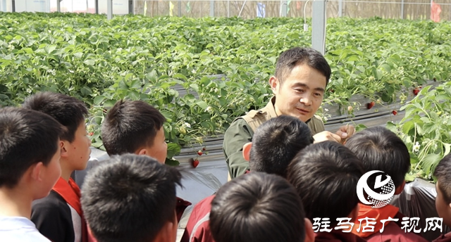 駐馬店：勞動教育搬進(jìn)田園 在實(shí)踐中“發(fā)芽”