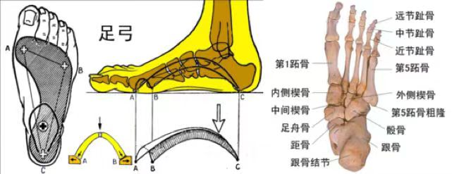 雪地靴又上熱搜！經(jīng)常穿真的很“傷腳”……醫(yī)生緊急提醒