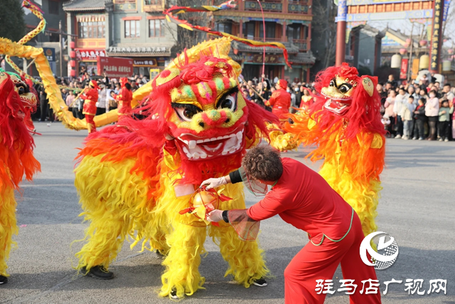 驛城區(qū)老體協(xié)舉行鞭陀龍鼓展演活動