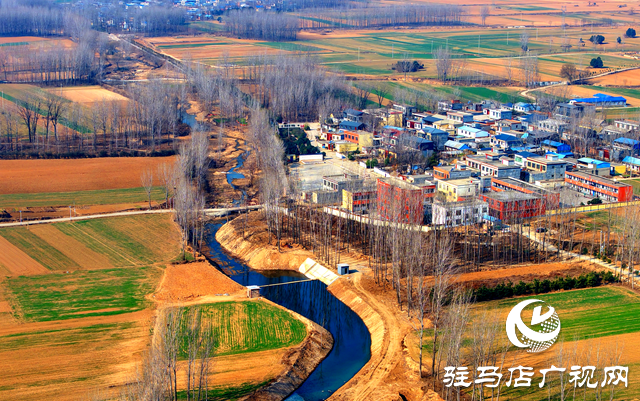 泌陽縣黃山口鄉(xiāng)：走穩(wěn)小麥“田管棋”，繪就夏收好“豐”景