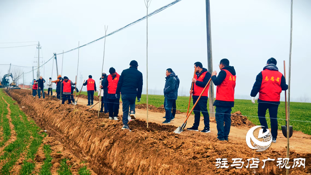 新蔡縣頓崗鄉(xiāng)開展春季植樹活動 