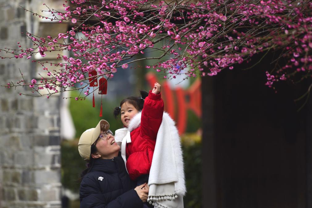 早春中國遇芳菲