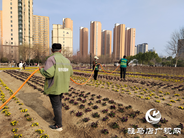 駐馬店開源公園：不負(fù)春季好時光 綠化養(yǎng)護正當(dāng)時