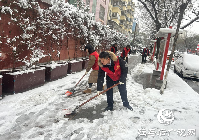 掃雪志愿行 溫情暖人心