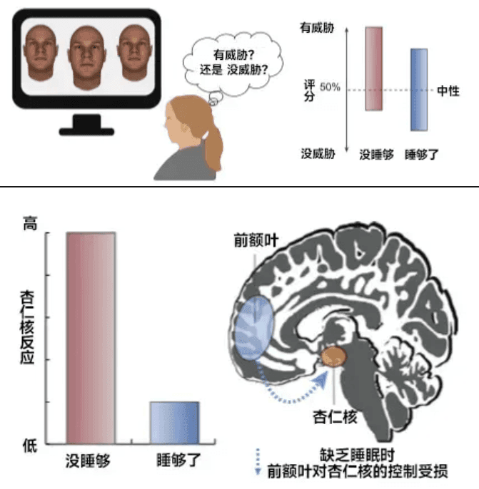 你以為的正?，F(xiàn)象，其實是睡眠不足！這份“熬夜急救包”請收好