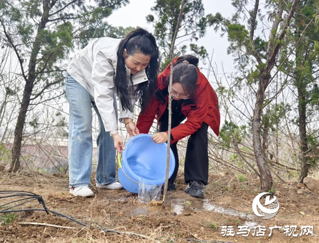 駐馬店廣播電視臺聯(lián)合企業(yè)開展植樹活動