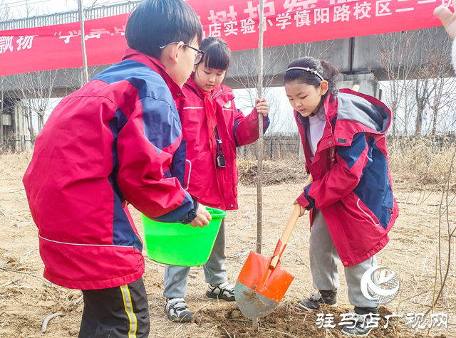 駐馬店實驗小學(xué)開展學(xué)雷鋒志愿植樹活動