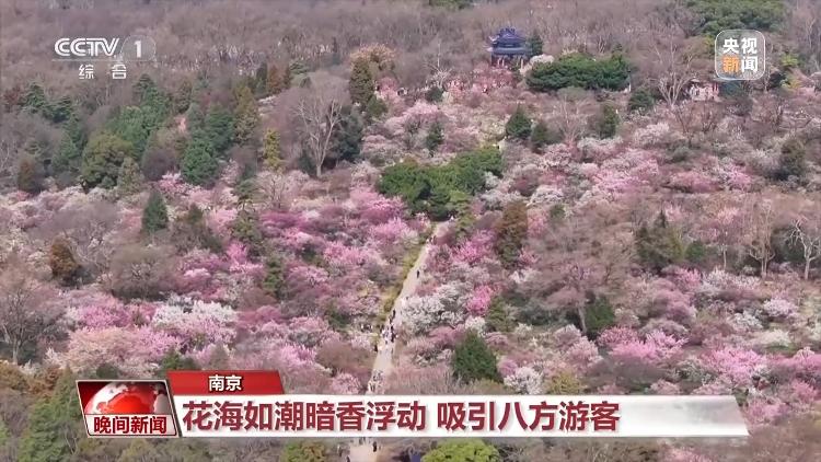 春天就是要看花花花花花，熱門(mén)春游目的地藏在這里