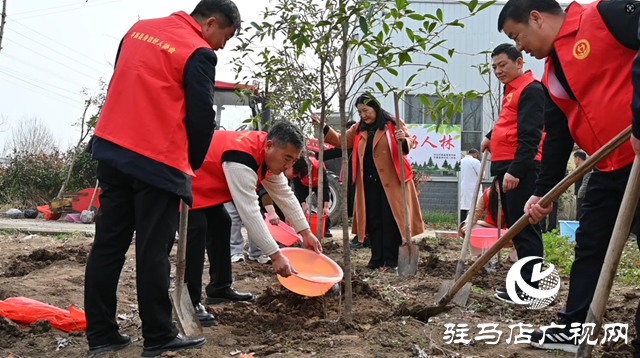 平輿縣身邊好人協(xié)會：綠美平輿 共植好人林