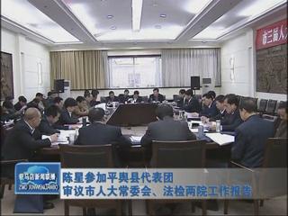 陳星參加平輿代表團審議市人大常委會、法檢兩院工作報